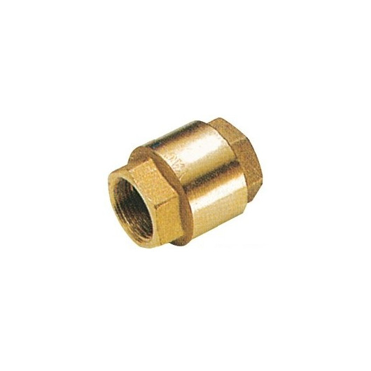 Brass check valve 1"1/2