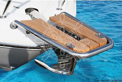 Dolphin striker AISI 316/teak tilting r