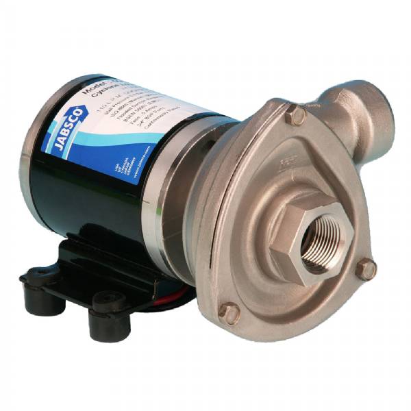 CYCLONE LP NPT 24V
