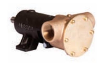 JABSCO PUMP BRZ PED 200 BSP NE